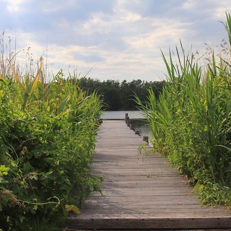 Moderne Und Helle Ferienwohnung Am Ploener See Bosau エクステリア 写真