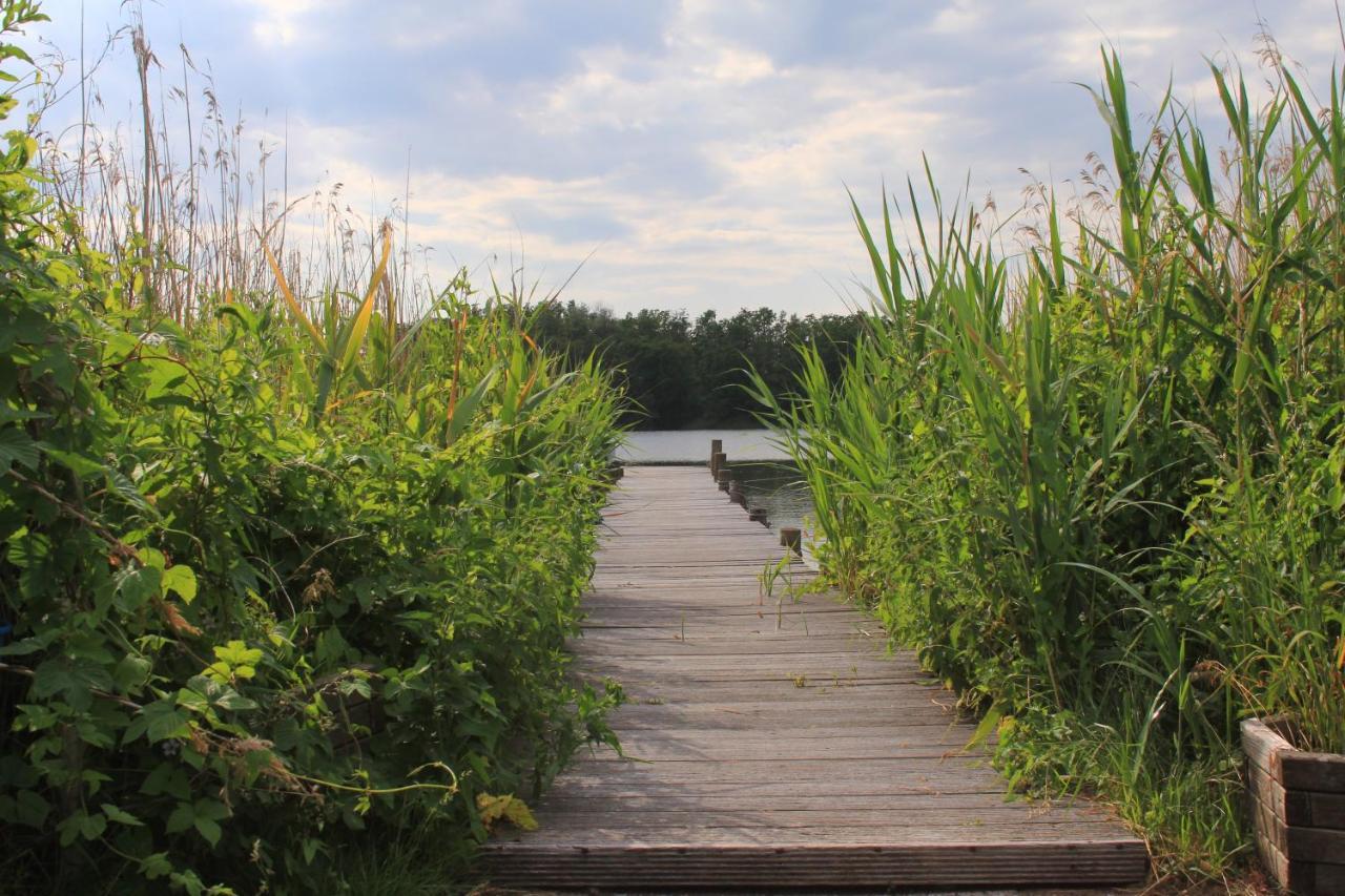 Moderne Und Helle Ferienwohnung Am Ploener See Bosau エクステリア 写真